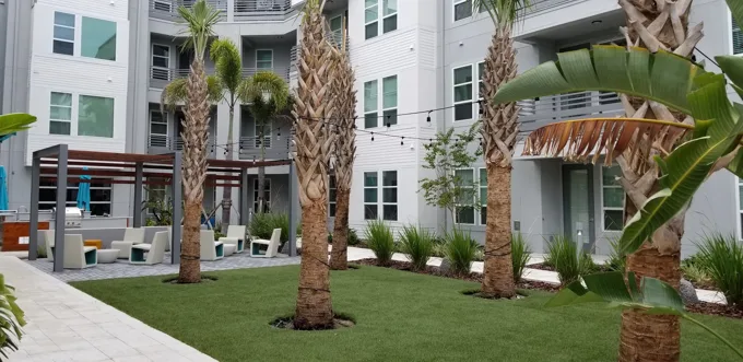 50 Paramount — project photograph 8